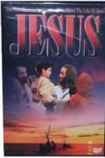 Watch The Story of Jesus According to the Gospel of Saint Luke Alluc