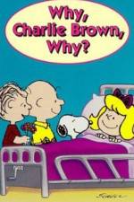 Watch Why Charlie Brown Why Alluc