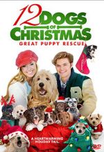 Watch 12 Dogs of Christmas: Great Puppy Rescue Alluc