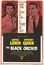 Watch The Black Orchid Alluc