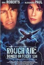Watch Rough Air: Danger on Flight 534 Alluc