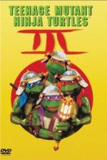 Watch Teenage Mutant Ninja Turtles III Alluc