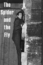Watch The Spider and the Fly Alluc
