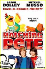 Watch Hatching Pete Alluc