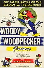 Watch The Woody Woodpecker Polka Alluc
