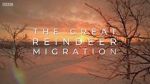 Watch All Aboard! The Great Reindeer Migration Alluc