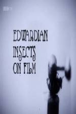 Watch Edwardian Insects on Film Alluc