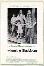 Watch Where the Lilies Bloom Alluc