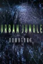 Watch National Geographic Wild Urban Jungle Downtown Alluc