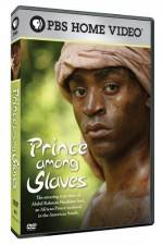Watch Prince Among Slaves Alluc