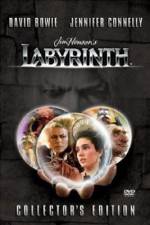Watch Labyrinth Alluc