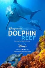 Watch Dolphin Reef Alluc