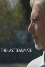 Watch Senna The Last Teammate Alluc
