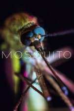 Watch Mosquito Alluc
