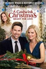 Watch A Godwink Christmas: Meant for Love Alluc