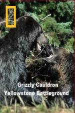 Watch National Geographic Grizzly Cauldron Alluc