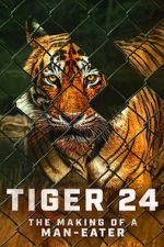 Watch Tiger 24 Alluc