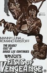 Watch Bruce\'s Fists of Vengeance Alluc