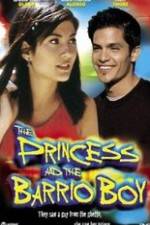 Watch The Princess & the Barrio Boy Alluc
