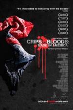 Watch Crips and Bloods: Made in America Alluc