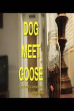 Watch Dog Meet Goose Alluc