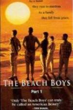 Watch The Beach Boys An American Family Alluc