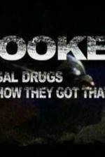 Watch Hooked: Illegal Drugs and How They Got That Way - Cocaine Alluc