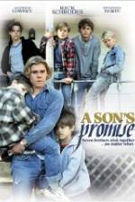 Watch A Son's Promise Alluc