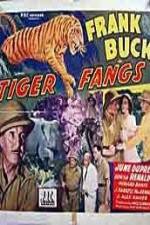 Watch Tiger Fangs Alluc