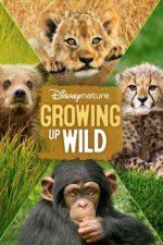 Watch Growing Up Wild Alluc