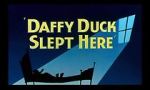 Watch Daffy Duck Slept Here (Short 1948) Alluc