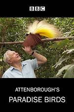 Watch Attenborough's Paradise Birds Alluc