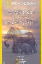 Watch Waking the Baby Mammoth Alluc