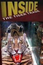 Watch Inside: The Tiger Trade Alluc