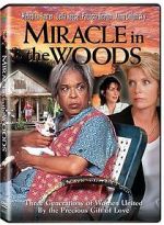 Watch Miracle in the Woods Alluc