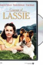 Watch Courage of Lassie Alluc