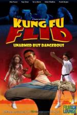 Watch Kung Fu Flid Alluc