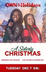 Watch A Sisterly Christmas Alluc