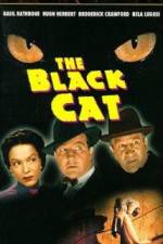Watch The Black Cat Alluc