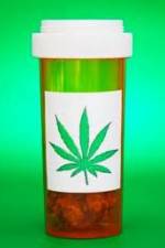 Watch Medicinal Cannabis and its Impact on Human Health Alluc