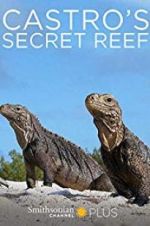 Watch Castro\'s secret reef Alluc
