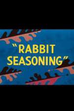 Watch Rabbit Seasoning Alluc