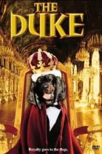 Watch The Duke Alluc