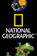 Watch National Geographic Wild Dam Beavers Alluc