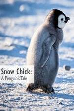 Watch Snow Chick: A Penguin's Tale Alluc