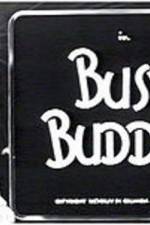 Watch Busy Buddies Alluc