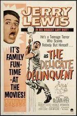 Watch The Delicate Delinquent Alluc