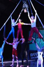 Watch Circus School Alluc