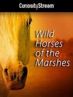 Watch Wild Horses of the Marshes Alluc