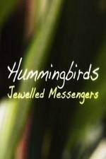 Watch Hummingbirds Jewelled Messengers Alluc